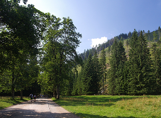 Zakopane. Dolina Kocieliska.