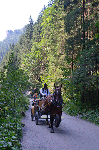 Zakopane. Dolina Kocieliska.