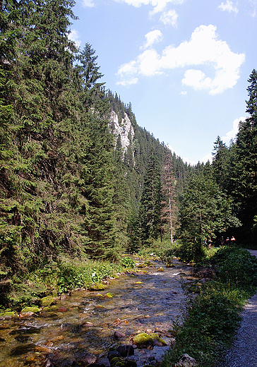 Zakopane. Dolina Kocieliska. Potok.