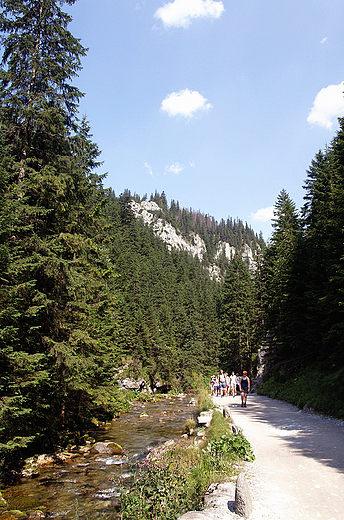 Zakopane. Dolina Kocieliska.