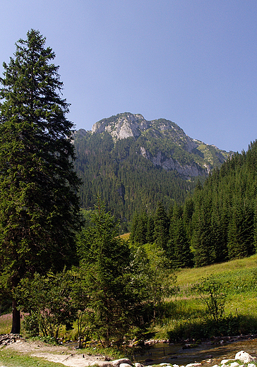 Zakopane. Dolina Kocieliska.