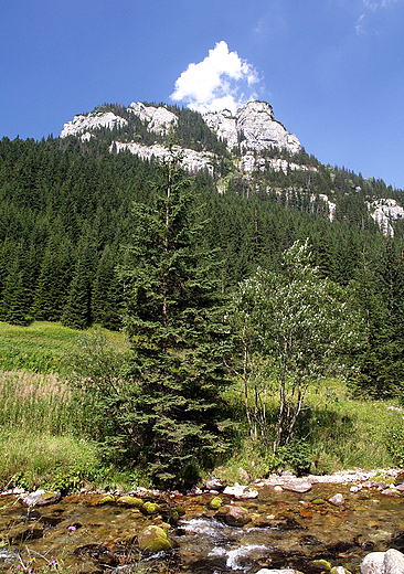 Zakopane. Dolina Kocieliska.