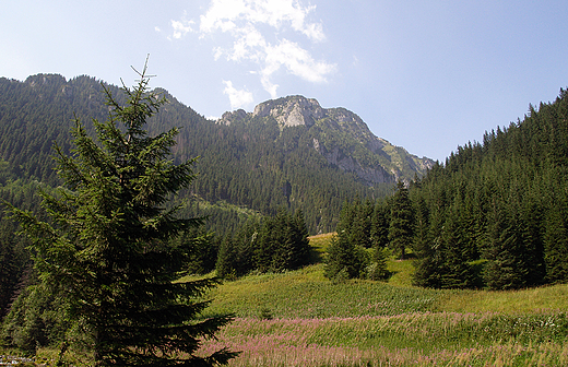 Zakopane. Dolina Kocieliska.