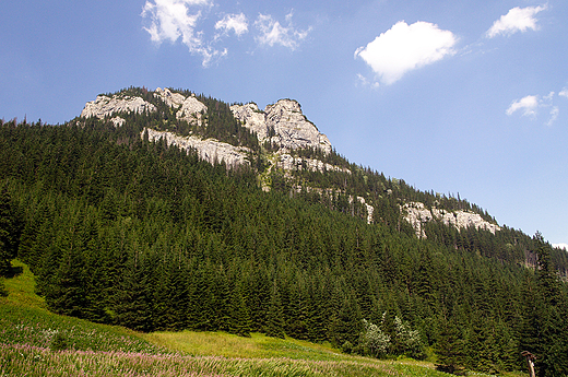 Zakopane. Dolina Kocieliska.