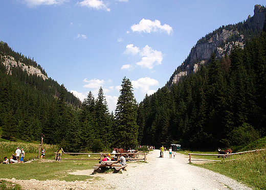 Zakopane. Dolina Kocieliska.