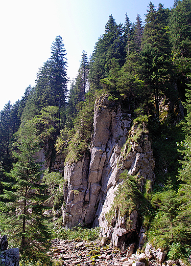 Zakopane. Dolina Kocieliska.