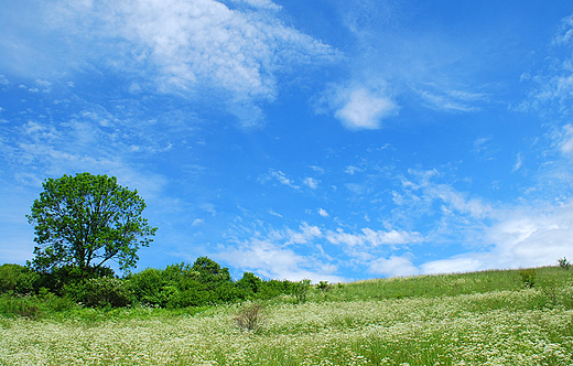 Czorsztyn