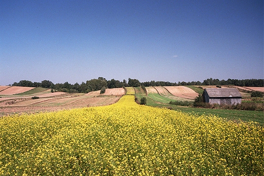 Okolice Naczowa