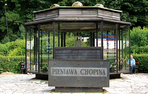 Pieniawa Chopina