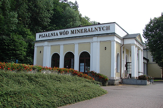 Pijalnia Wd