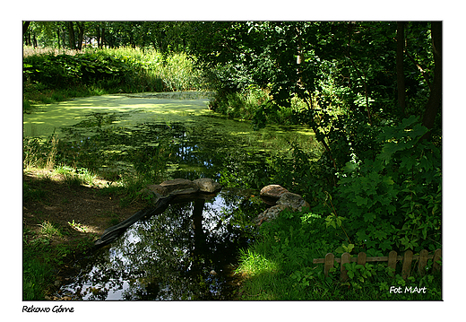 Rekowo Grne - park przy paacu Wieniawa