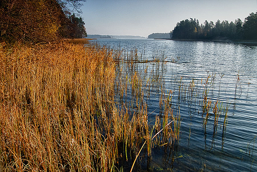 Jezioro Blizno