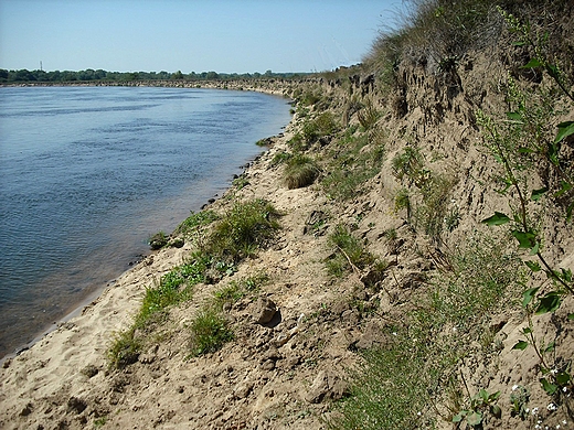 Pomiechowo. Wysoki brzeg Narwi na zakrcie rzeki.