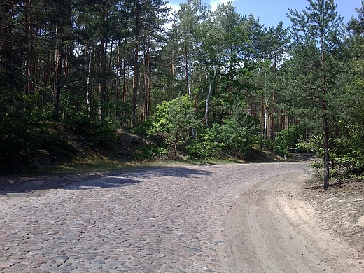 Kampinoski Park Narodowy