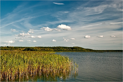 Jezioro Wigry w Rosochatym Rogu.
