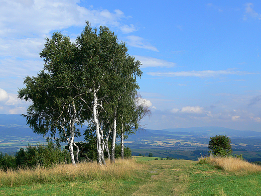 Panorama z Jedlnika