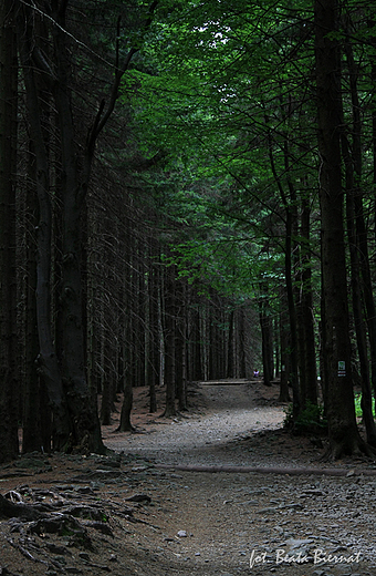 Beskid lski, Czantoria