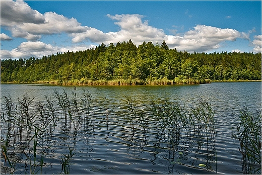Jezioro empis w Rezerwacie empis.