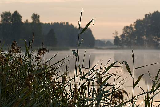 Jezioro Pobondzie.