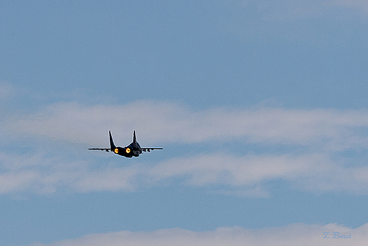 Podkarpacki Piknik Lotniczy - MIG-29