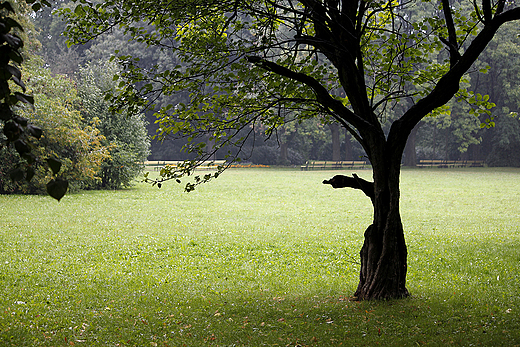 Warszawa - Park Skaryszewski