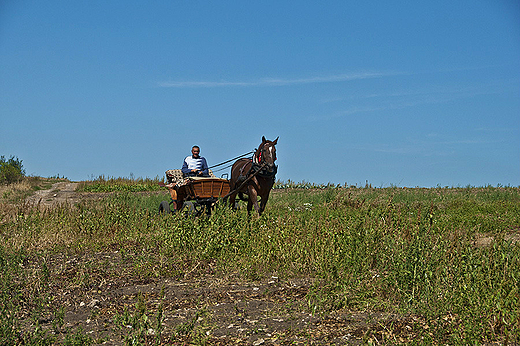 Przejadka