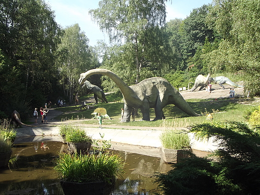 LSKIE ZOO - KOTLINA DINOZAURW