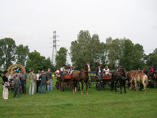 Zabrze. Doynki miejskie 2012 r