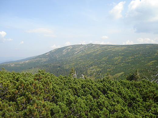 Widok na niene Koty