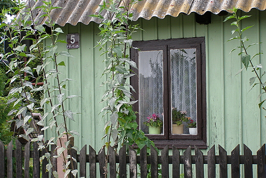 Drewniany domek we wsi Felicja.