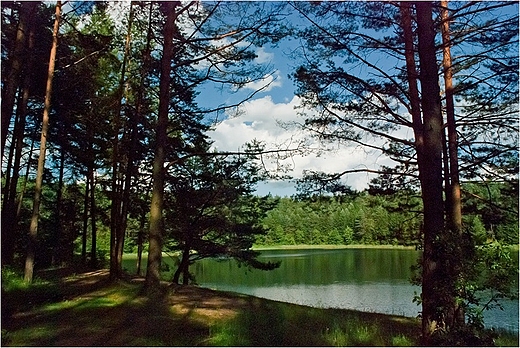 Wigierski Park Narodowy.Jezioro Gaziste.