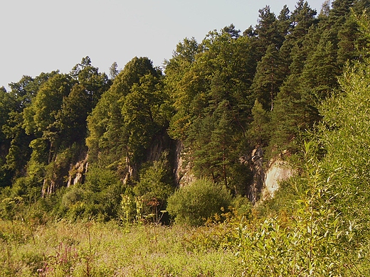 urwiako nad zalewem myczkowieckim