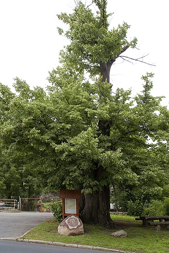Szlak Waloński