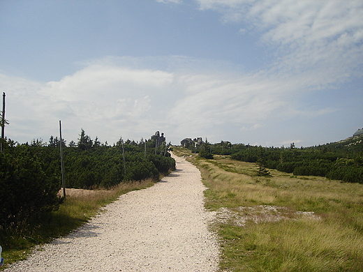 Pod Szrenic