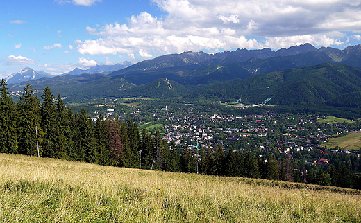 Zakopane. Panorama Tatr z Gubawki.