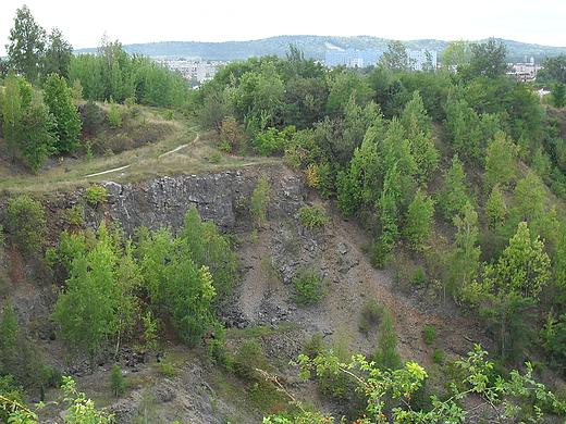 Wietrznia-Geologiczny Rezerwat Przyrody w Kielcach