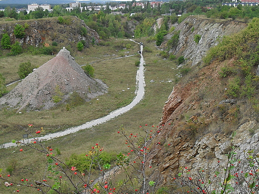 Wietrznia-Geologiczny Rezerwat Przyrody w Kielcach