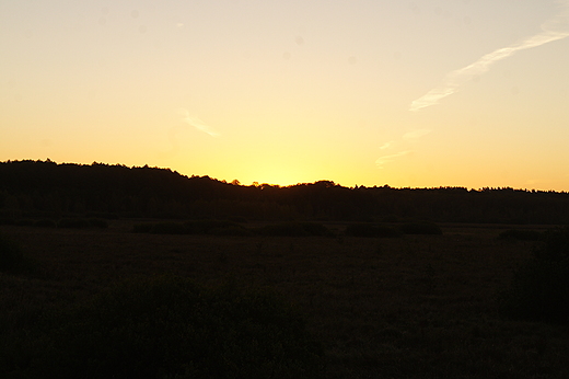 poranek nad Biebrz