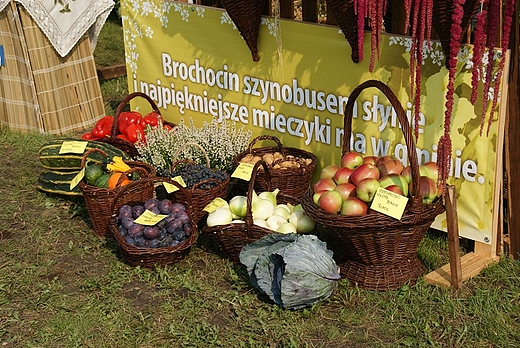 Kramik doynkowy wsi Brochocin.