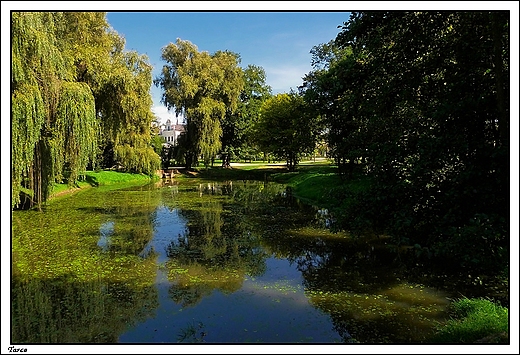 Tarce - park okalajcy renesansowy paac Ostrorogw-Gorzeskich z II poowy XIXw.