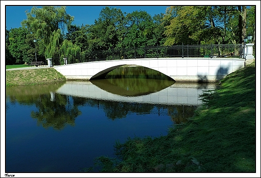 Tarce - park okalajcy renesansowy paac Ostrorogw-Gorzeskich z II poowy XIXw. _ most na wysp