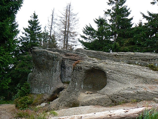 Wychodnia skalna na Malinowskiej skale.