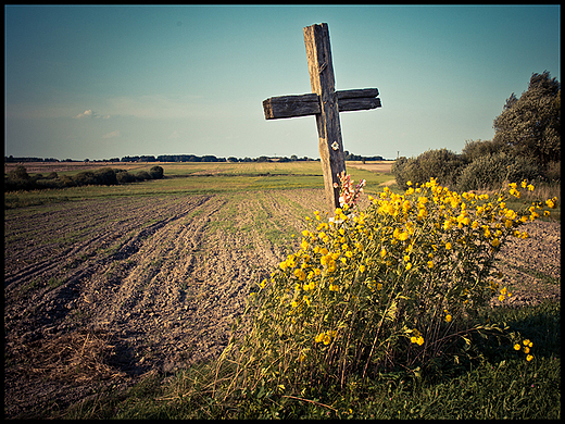 Polny krzyż w okolicach wsi Cieleśnica