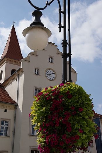 Rynek w Trzebnicy