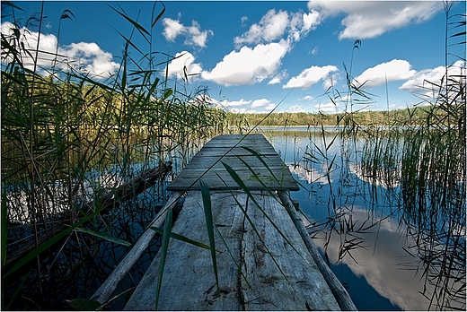 Pole Biwakowe nad Jeziorem Zelwa w Wikokuku.