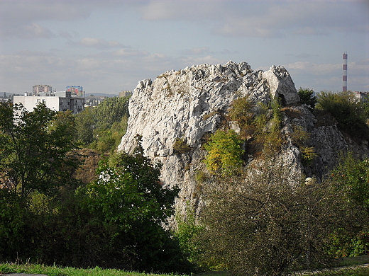 Rezerwat Przyrody KADZIELNIA w Kielcach