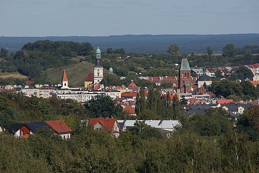 Panorama Trzebnicy