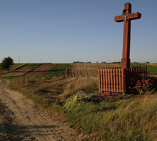 rdpolny krzy w okolicach Izbicy