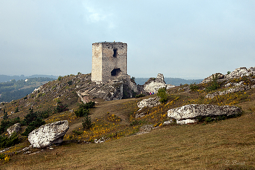 ruiny zamku z XIV w. - baszta Starociska