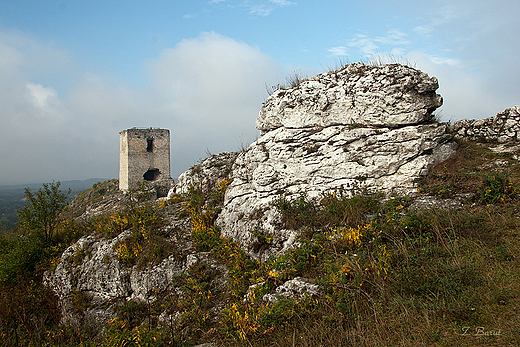 baszta Starociska